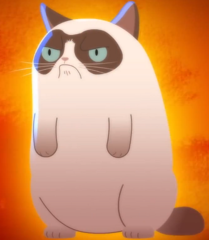 File:Grumpy Cat.png