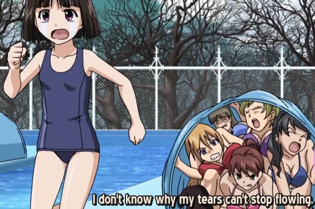 File:RosarioToVampire5flowing.jpg