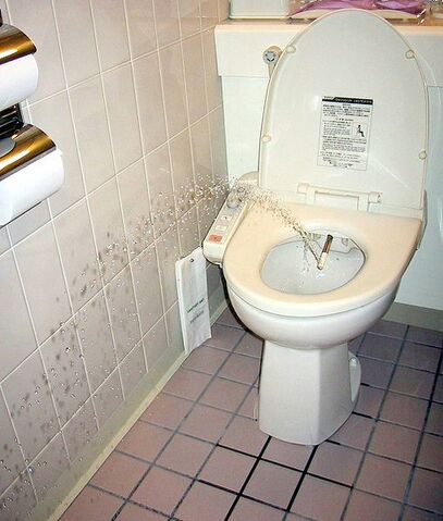 Archivo:JapaneseToiletBidet.jpg
