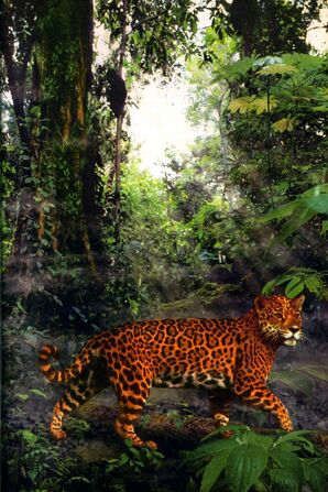 File:TheForgottenIllustration.jpg