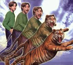 File:JakeToTiger.png