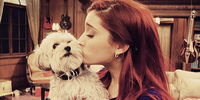 Tumblr lzmzgeN81L1qbkyn3o1 500 large