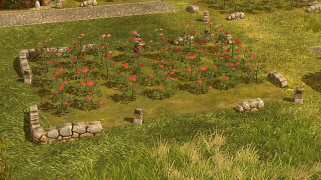 File:Rose field.jpg