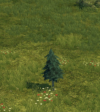 File:Tree first.png