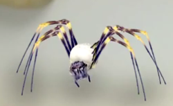 File:250px-Spider-1-.png