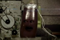 File:Eggplant.jpg