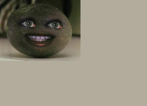 Passion Fruit