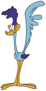 Road Runner