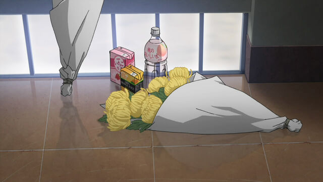 Plik:Momento.jpg
