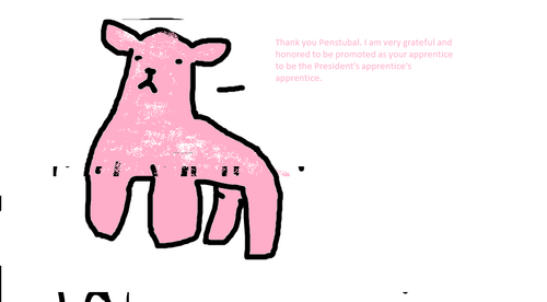 PITH-Storyboard16