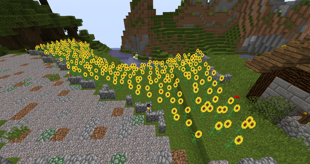 File:Sunflowers.png