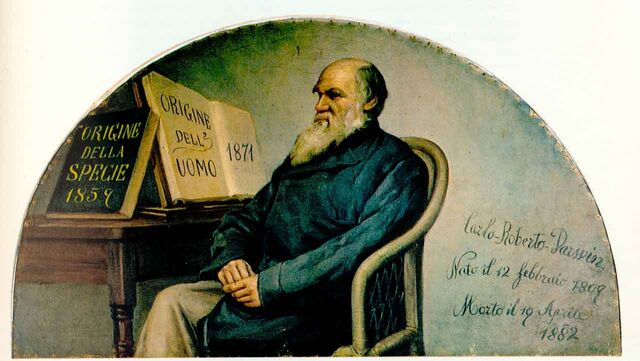 File:Darwin panel.jpg