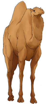 Plik:Camel-happy.png