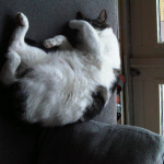File:150px-4769024.png