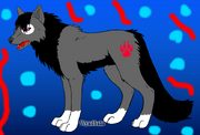 Tom