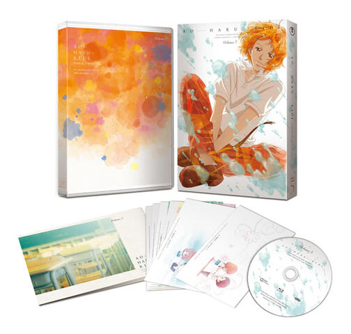 File:BD & DVD volume 5 detail.jpg