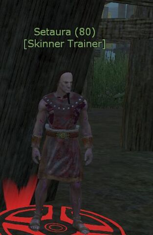 File:Skinning Trainer.jpg