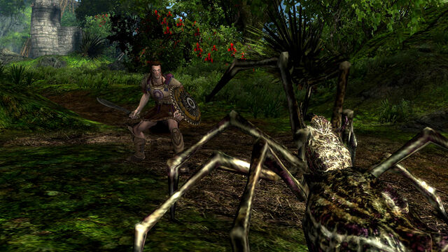 File:Spider fight.jpg