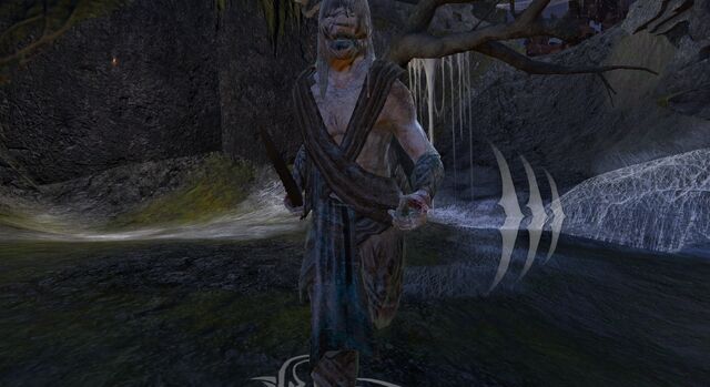 File:VengefulDrownedOne.jpg