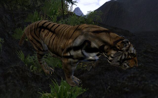 File:AOCtiger1.jpg
