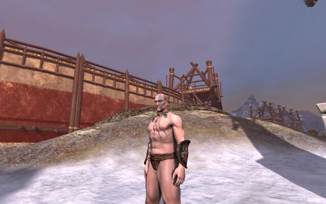 File:Blesswarbracers1.jpg
