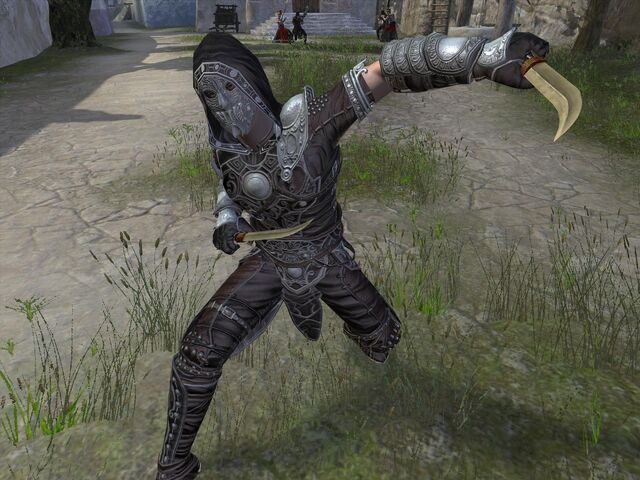 File:New armor 1.jpg