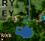 Thumbnail for version as of 03:48, August 7, 2006