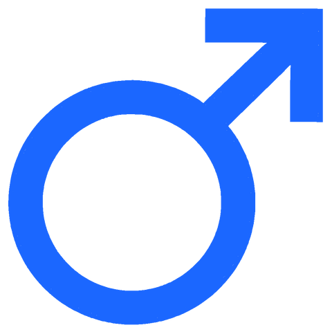 Archivo:Masculino.png