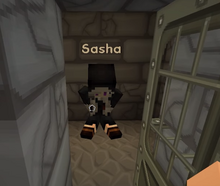 Sasha in cell