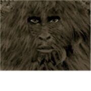 Swamp Creature