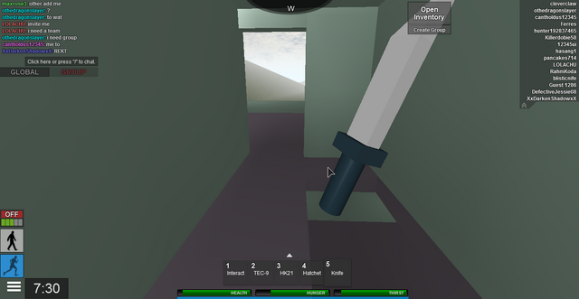 File:RobloxScreenShot11302014 164207869.png