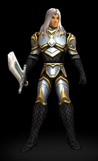 Guardian Class Armor