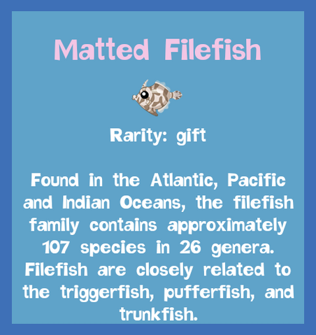 File:Fish2 Matted Filefish.png