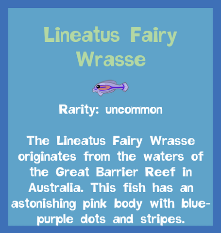 File:Fish2 Lineatus Fairy Wrasse.png