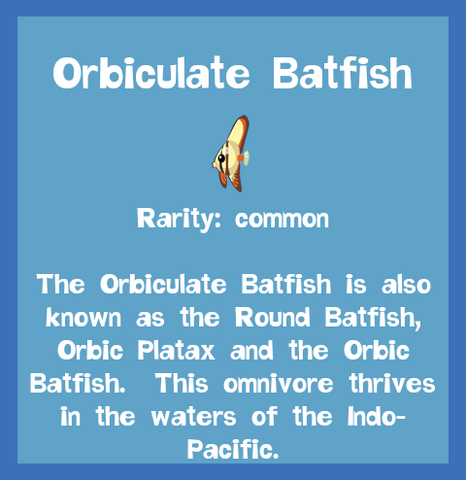 File:Fish2 Orbiculate Batfish.png