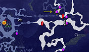 Aquaria hard-beetle map