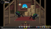 Willow Creek Room 5