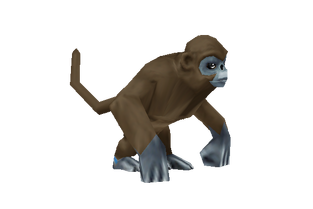 Konga Block
