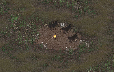 Mi-poachers-camp