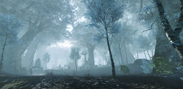 File:White Arden ingame.jpg