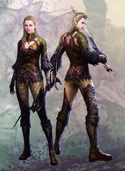 Elf race