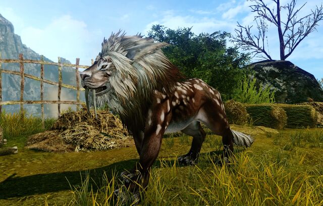 File:Adult snowlion brown.jpg