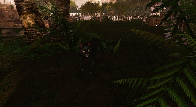 File:Black panther battle pet.jpg