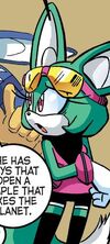 Sonar the Fennec