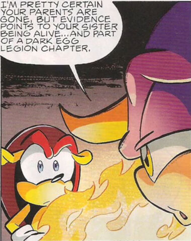 File:Chaotix 212 1 17.jpg