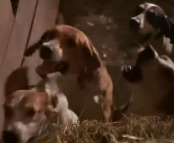 File:Houndsdoghungry.png