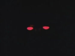Darkmusic1