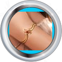Arquivo:Badge-5135-3.png