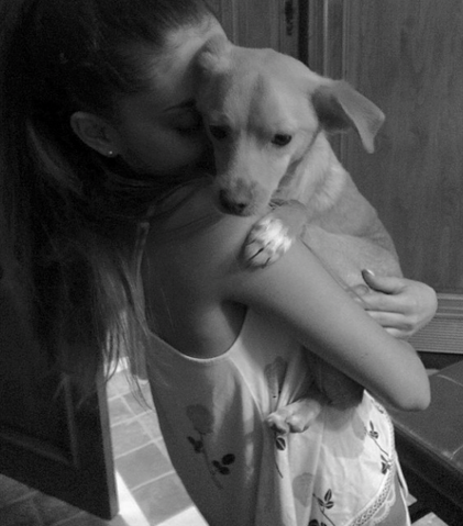 File:Ari holding toulouse.png