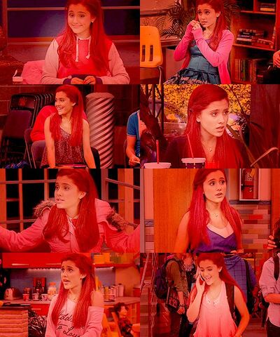 File:Cat collage.jpg